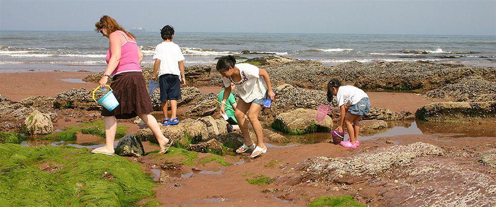 Beaches Guesthouse Paignton Dış mekan fotoğraf